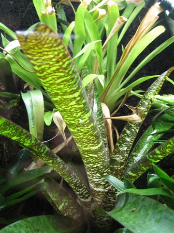 IMG_6828 (Small).JPG