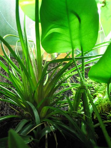 IMG_6831 (Small).JPG