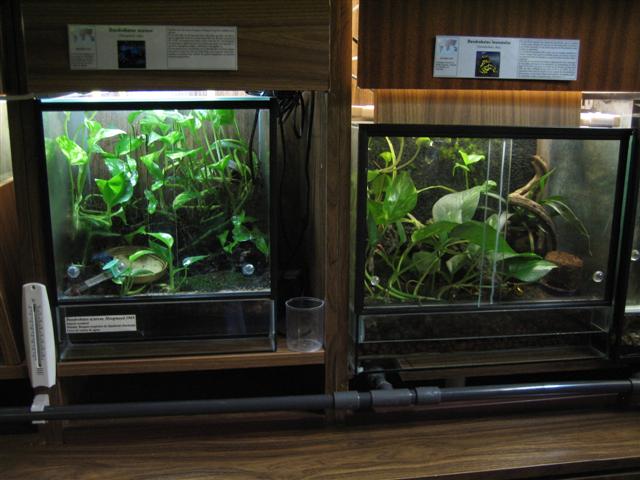 IMG_6835 (Small).JPG