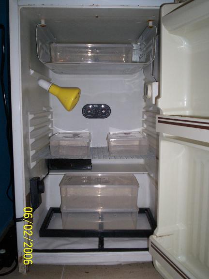 incubadora vieja.JPG