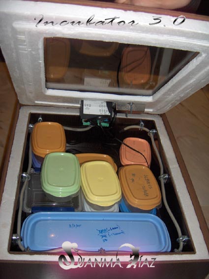 incubator.jpg
