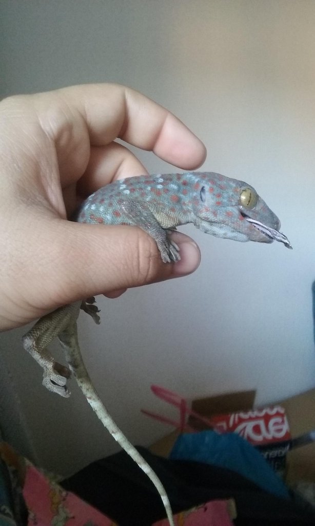 infeccion ojo despues