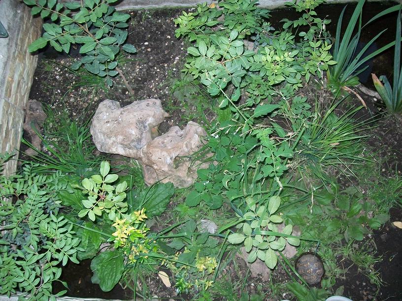 instalac. ext. 018.jpg