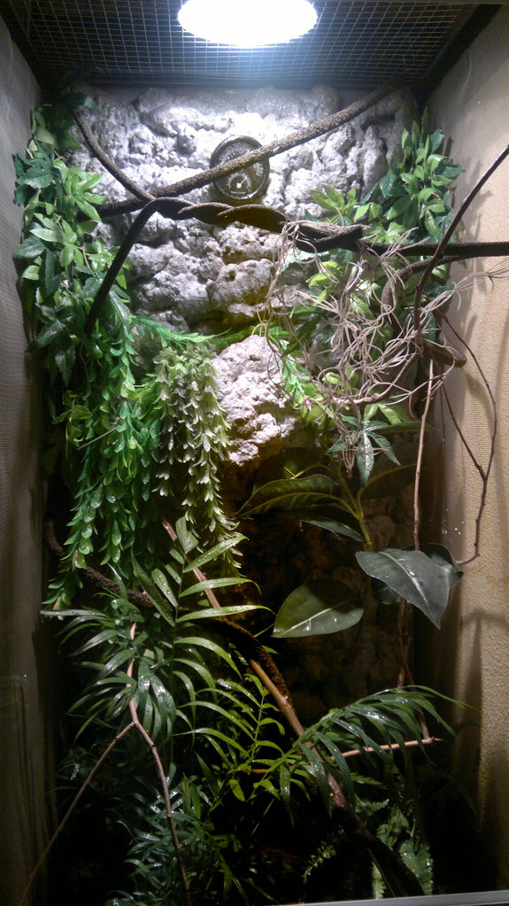 instalacion camaleon