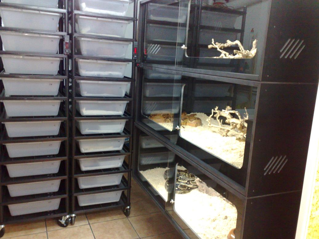 instalaciones 236.jpg