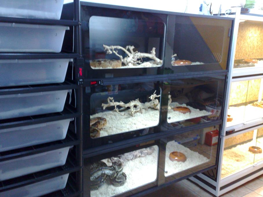 instalaciones 244.jpg