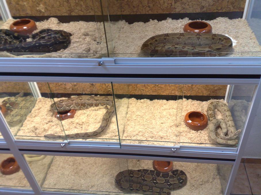 instalaciones 246.jpg