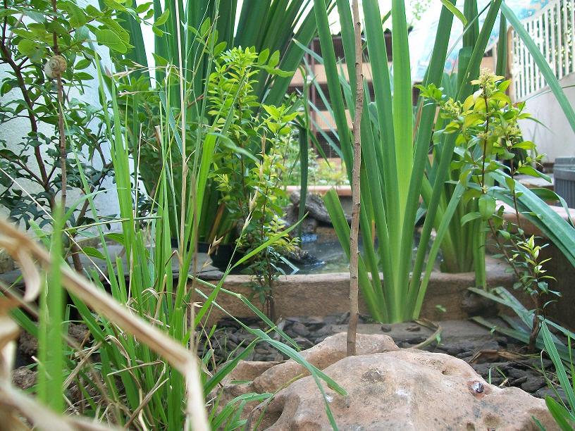 Instalaciones emys 001.jpg