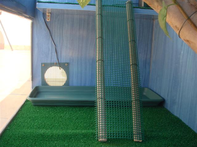 Interior inferior.JPG