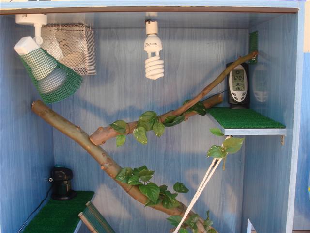 Interior superior.JPG