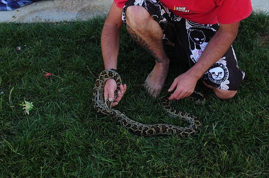 mdwarf 6 julio 2008.JPG