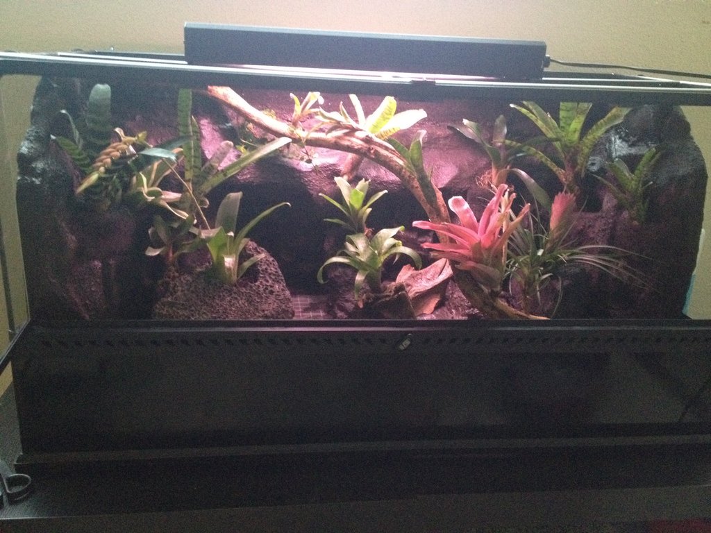 Mi primer terrario exo 90x45x45