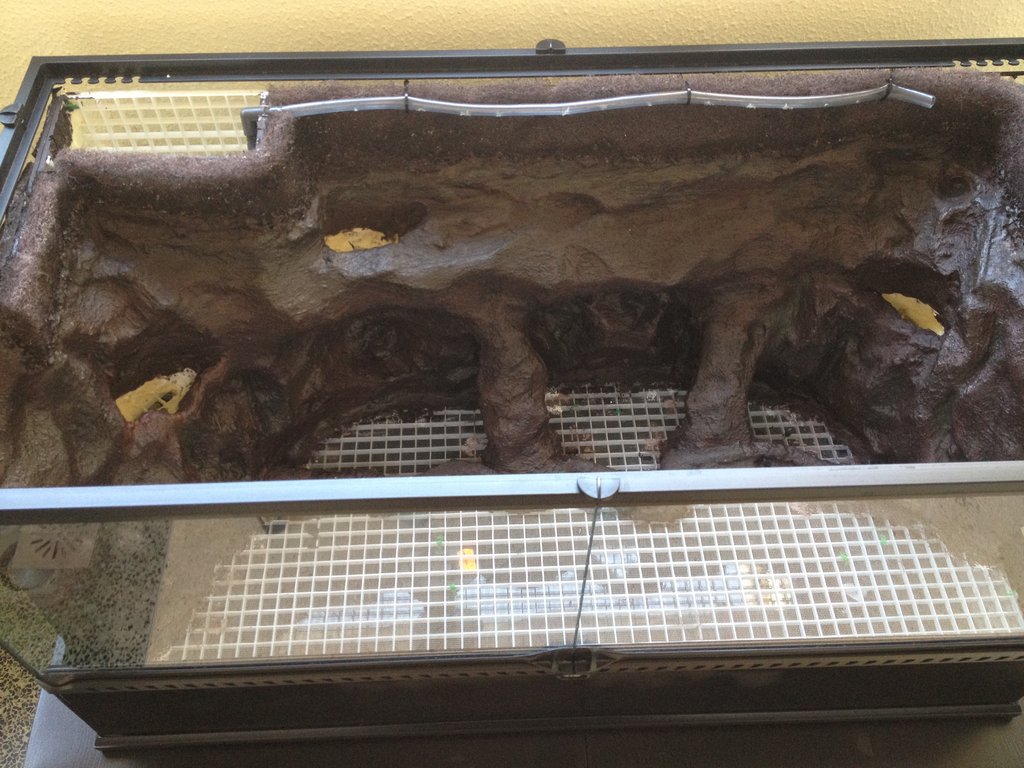 Mi primer terrario exo 90x45x45