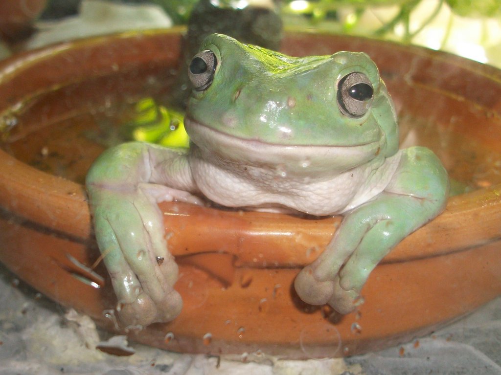 Mike tomando un baño