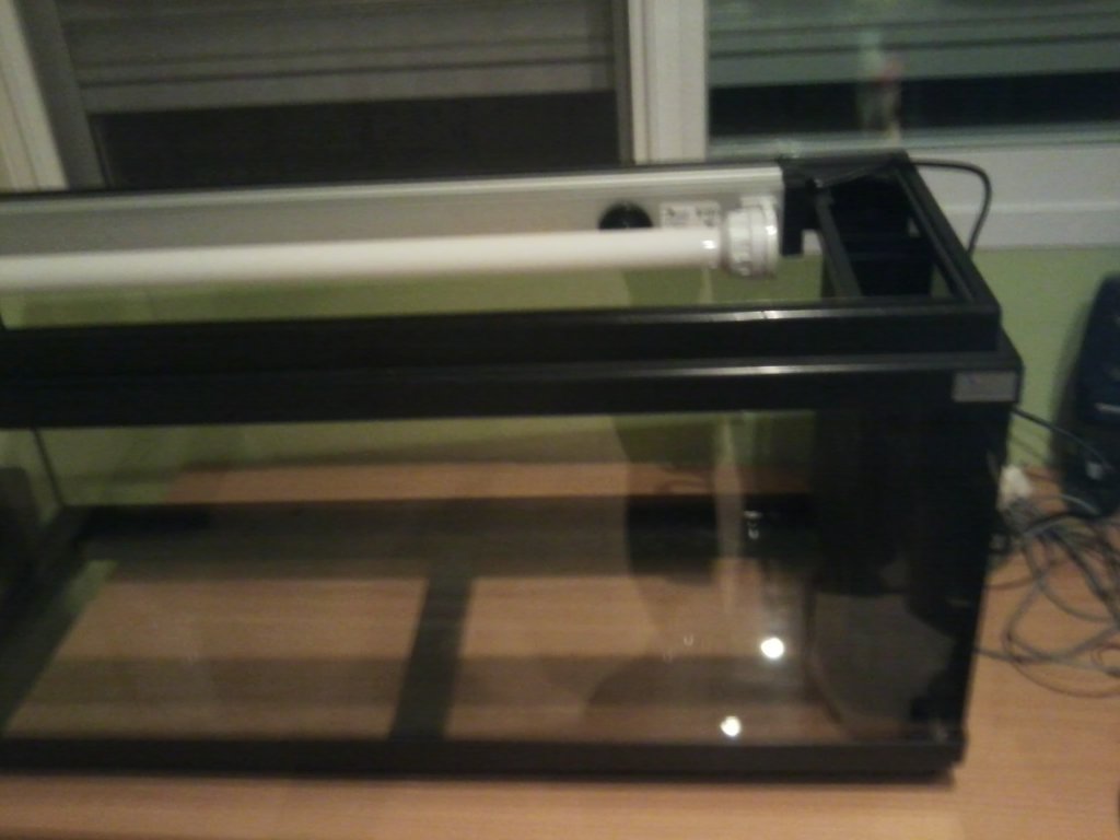 Mira este es el acuario