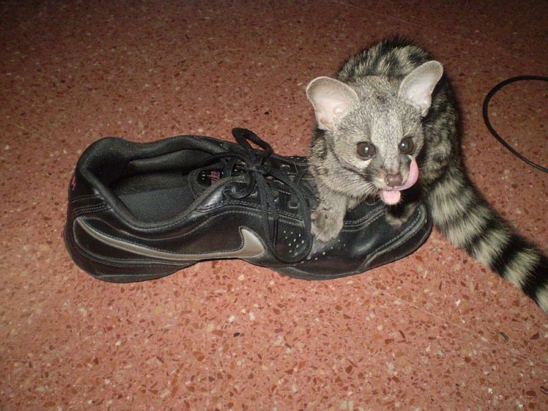 Mora dos meses 1.jpg