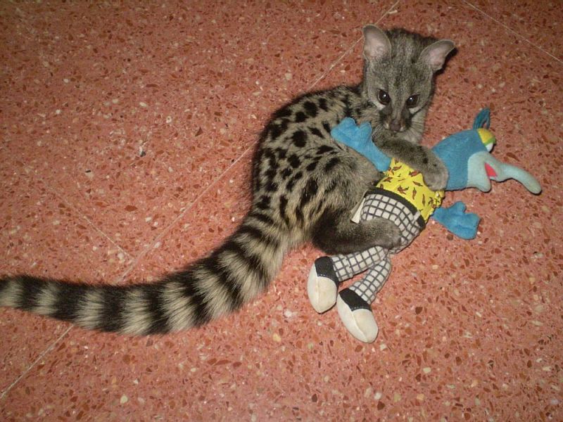 Mora dos meses 3.jpg