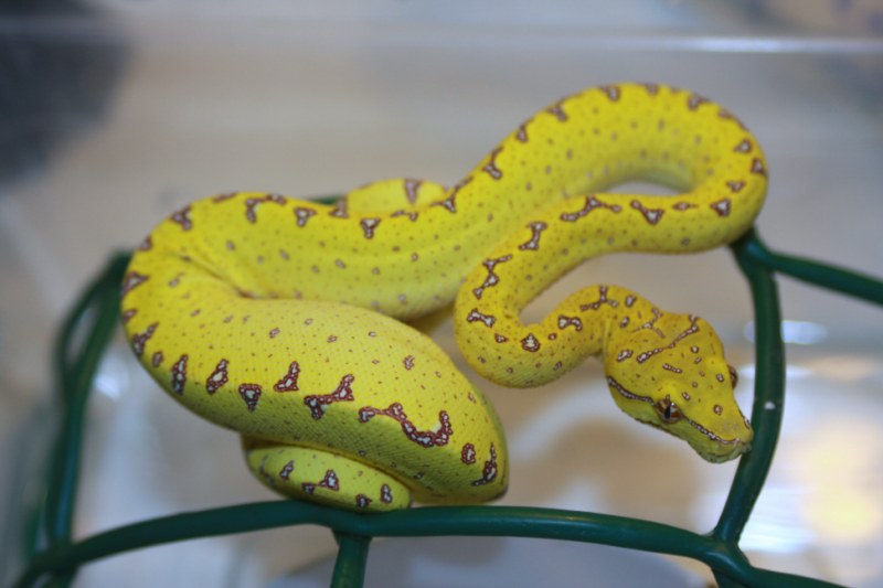 Mv2-10 [800x600].jpg