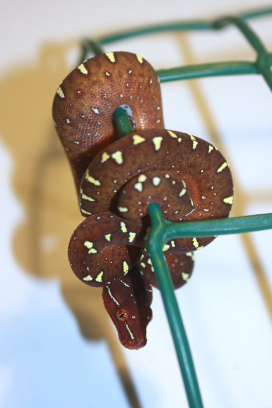 Mv6-10 [800x600].jpg