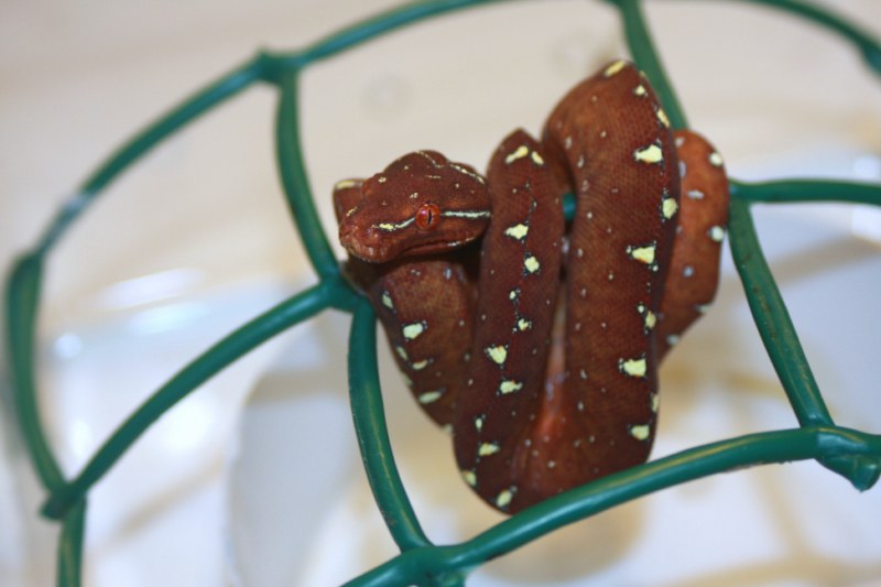 Mv7-10 [800x600].jpg