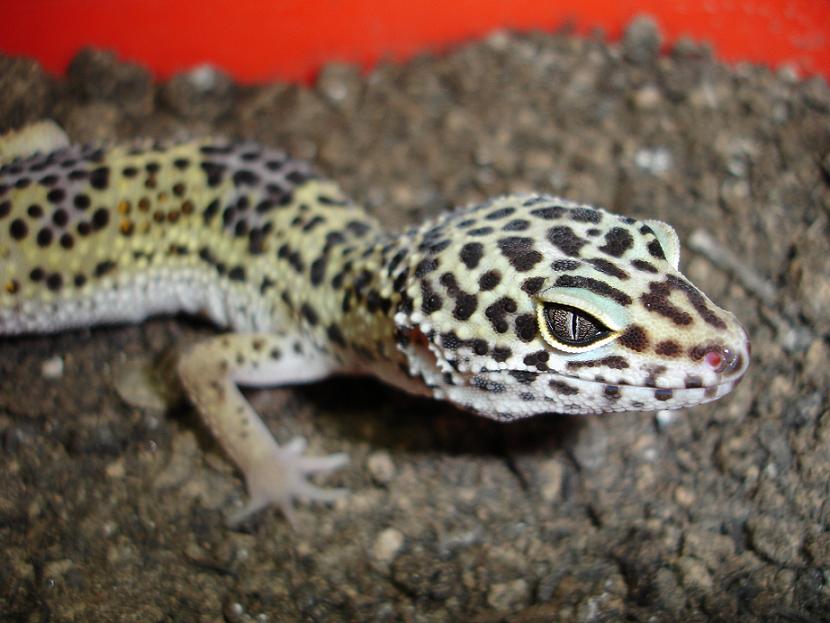 Naoki1 - 05-01-07.JPG