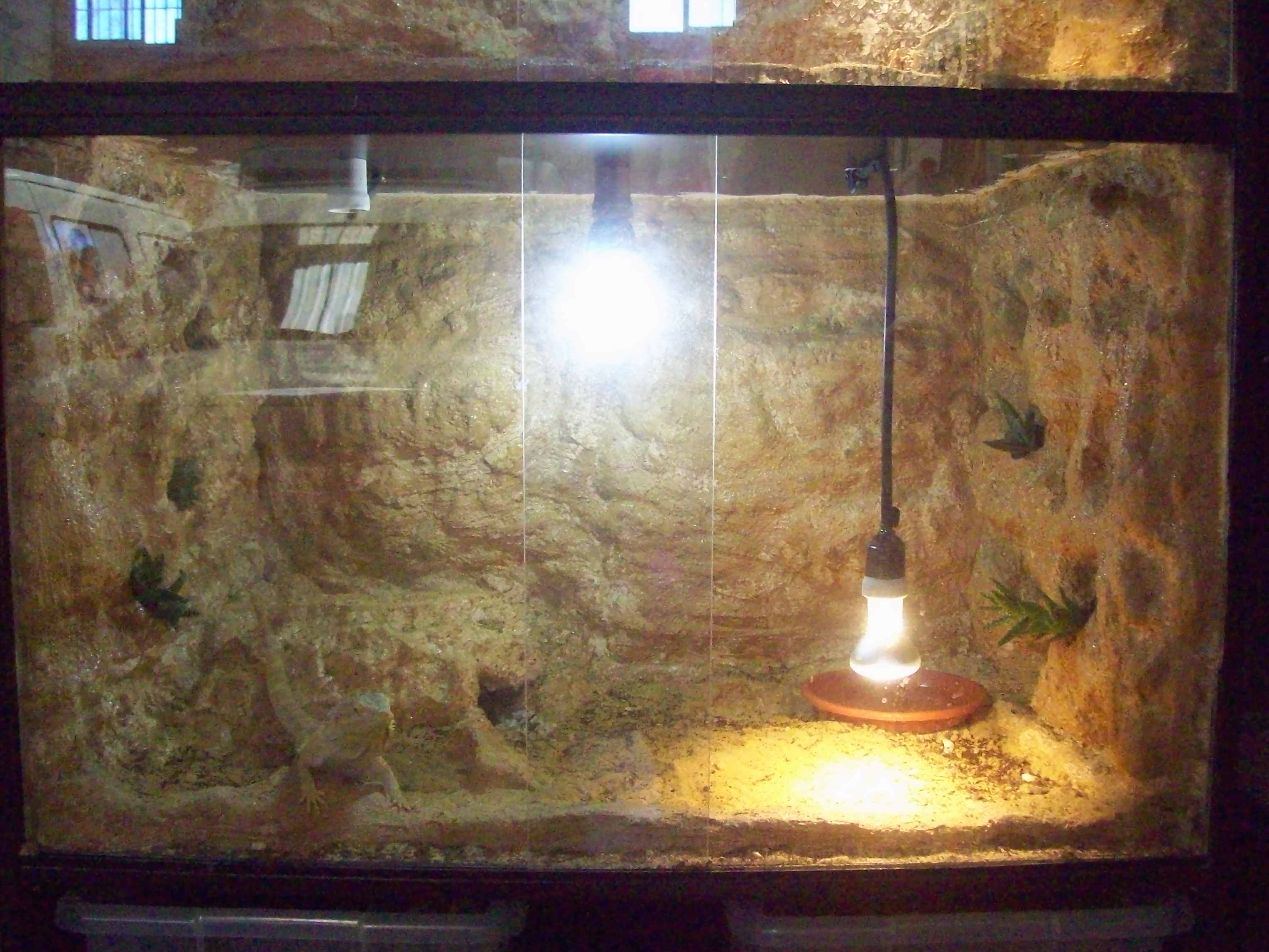 nueva bateria (2).jpg