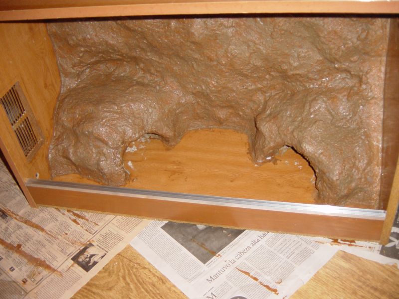 nuevo terrario 004.jpg