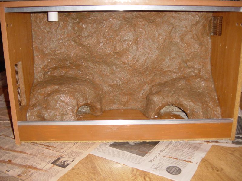 nuevo terrario 009.jpg