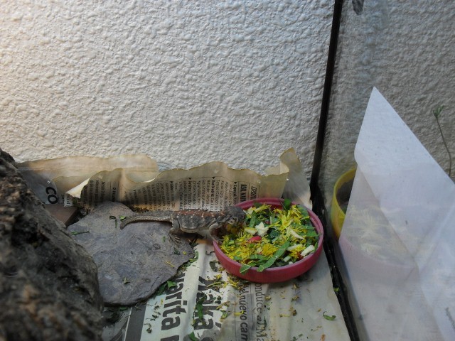 oce_oct09 (640x480)COP.jpg