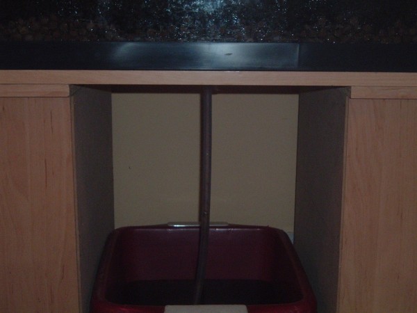 odesague (600 x 450).jpg