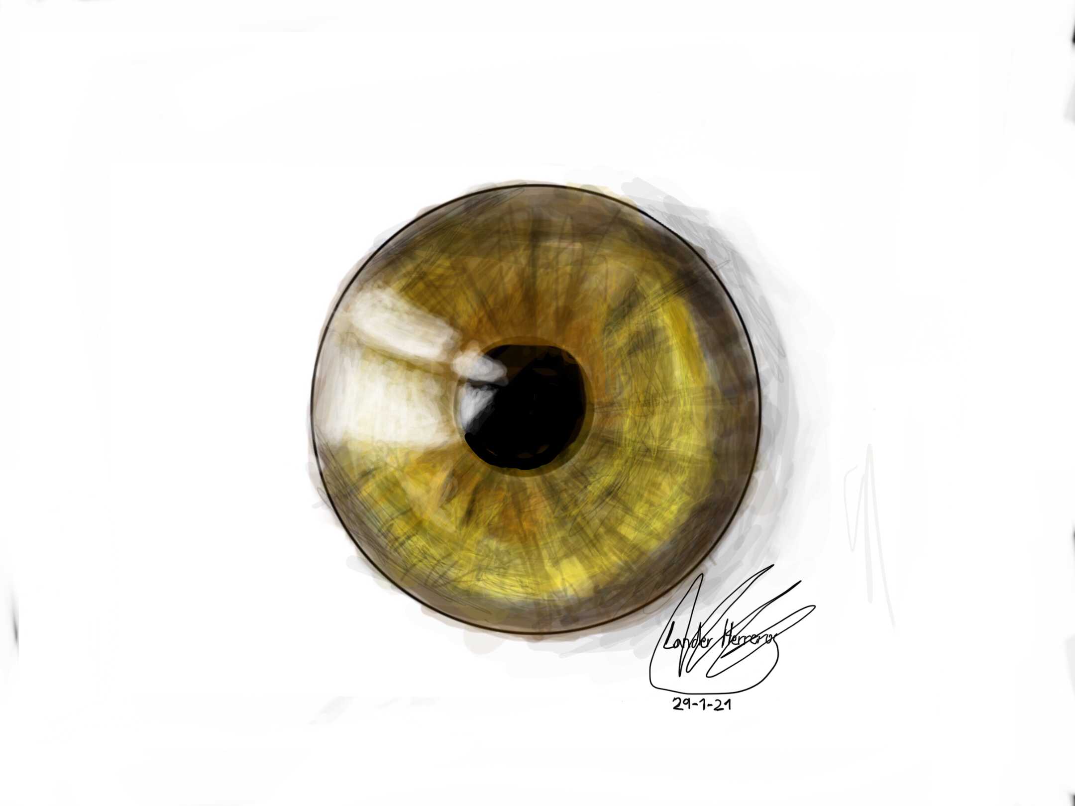[Off-topic] Iris amarilla impresionista.