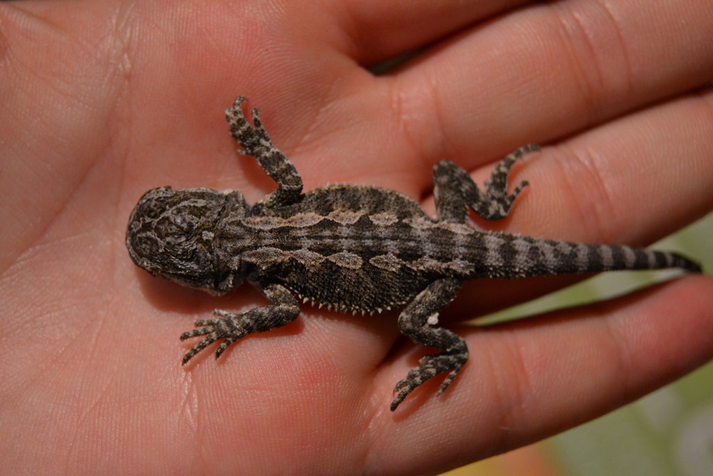 Otra wapa...o wapo ;P