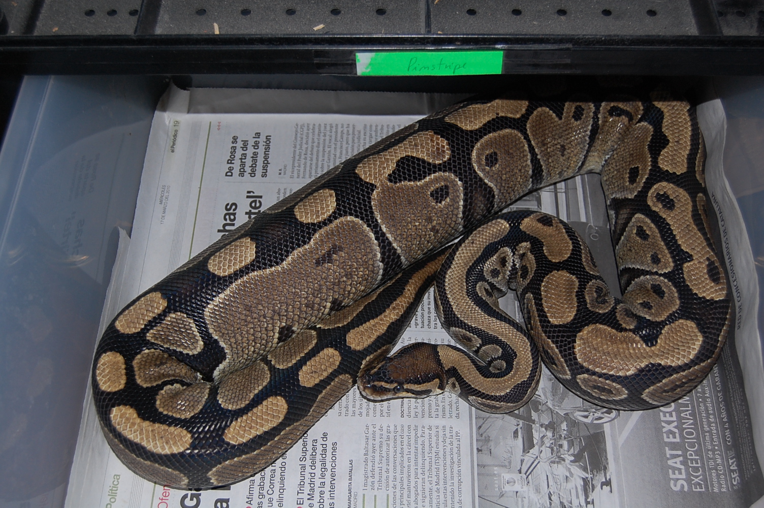 ovulacion nom 2 ,,29-5-2010.JPG