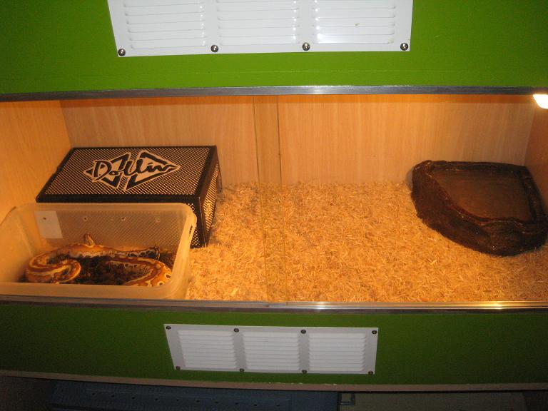 P. curtus instalaciones.JPG