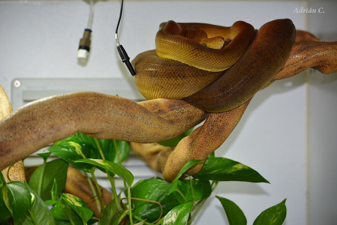 P.O.S. 15 de Mar de 2015.JPG