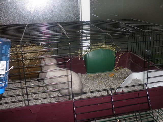 P1010001 [640x480].JPG