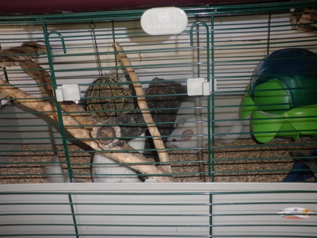 P1010001 [640x480].JPG