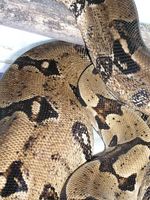 P1010002 [320x200].JPG