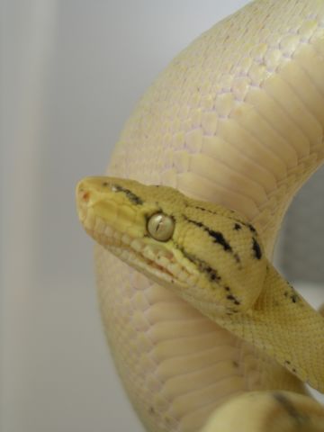 P1010002 [640x480].JPG