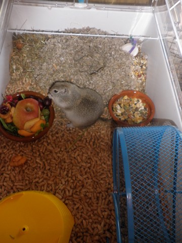 P1010002 [640x480].JPG