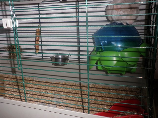 P1010002 [640x480].JPG