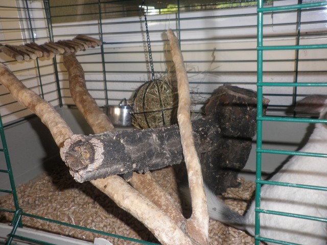 P1010002 [640x480].JPG