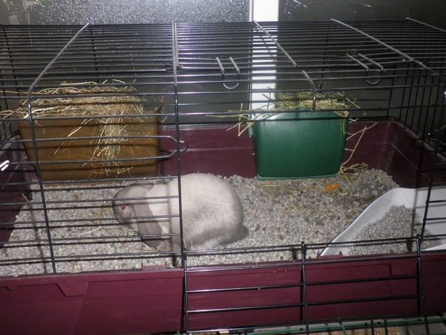 P1010003 (2) [640x480].JPG