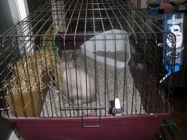 P1010004 (2) [640x480].JPG