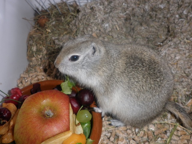 P1010004 [640x480].JPG