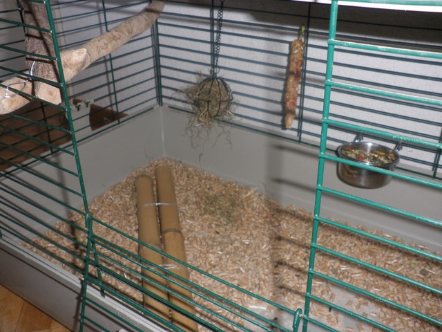 P1010004 [640x480].JPG