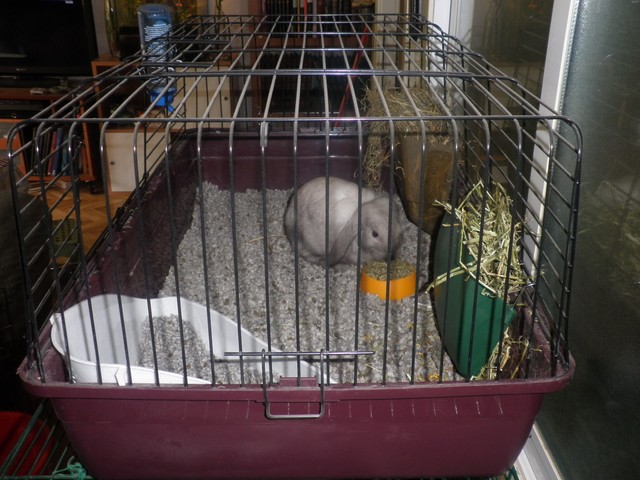 P1010005 (2) [640x480].JPG