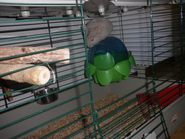 P1010005 [640x480].JPG