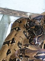 P1010006 [320x200].JPG