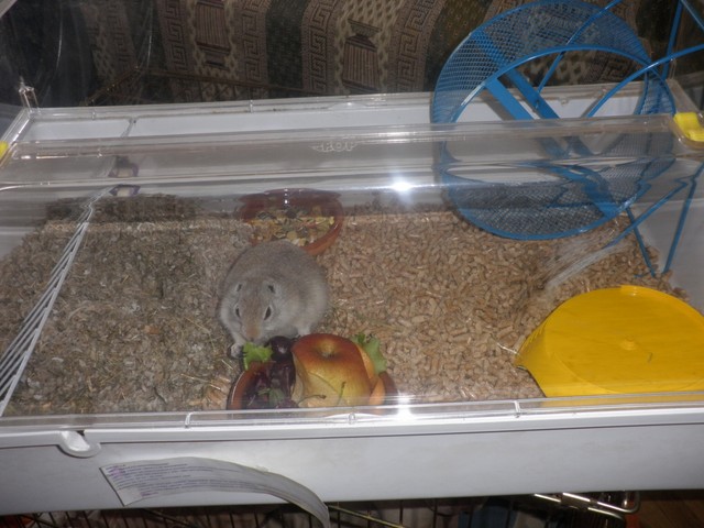 P1010006 [640x480].JPG